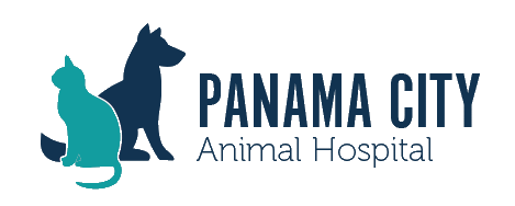 Panama City Animal Hospial