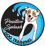 Positive Splash Dog Training