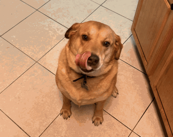 Courtesy Post: Rusty
