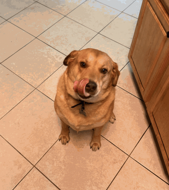 Courtesy Post: Rusty
