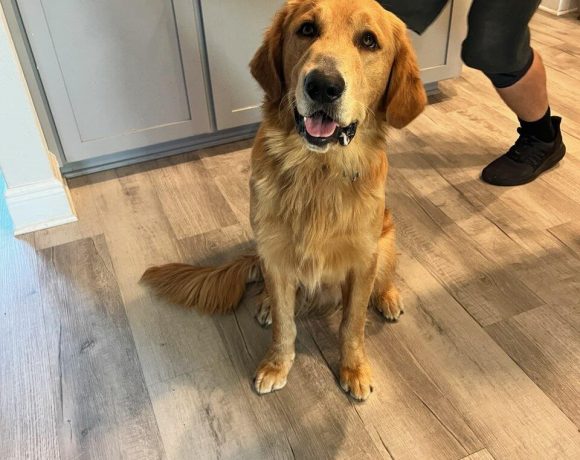 25011 Oakley & 25012 Finley 25011 Oakley & 25012 Finley