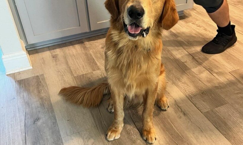 25011 Oakley & 25012 Finley 25011 Oakley & 25012 Finley