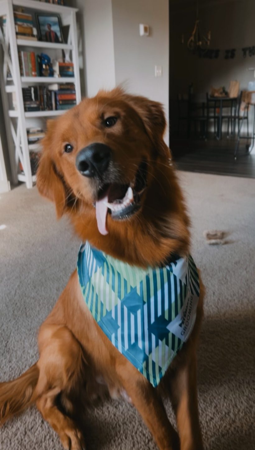 Buddy Buddy